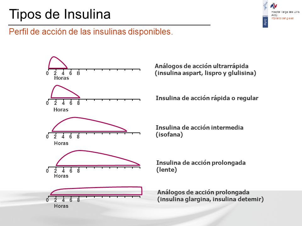 Conceptos claves de la insulina