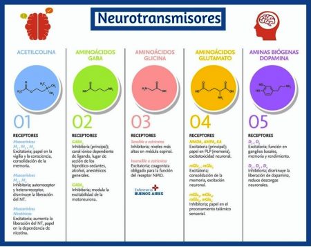 Resumen clarísimo de los neurotransmisores