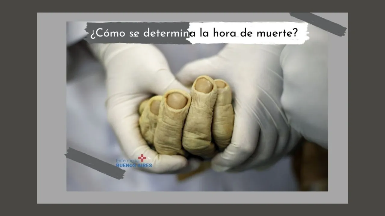 Cómo se determina la hora de muerte Curva de dispersión térmica 2024