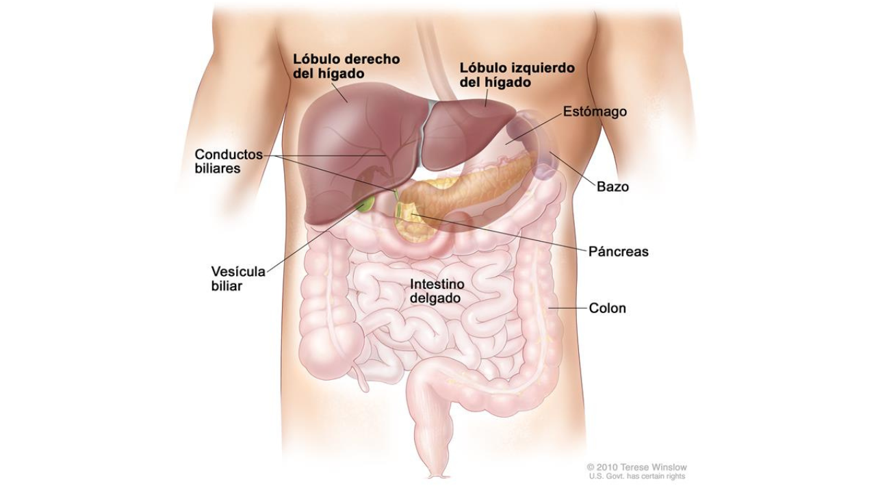 Cáncer de conducto biliar