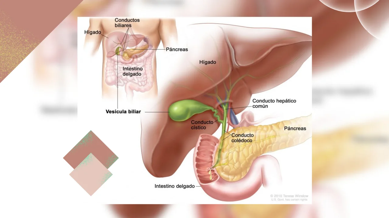 Cáncer en la vesícula biliar