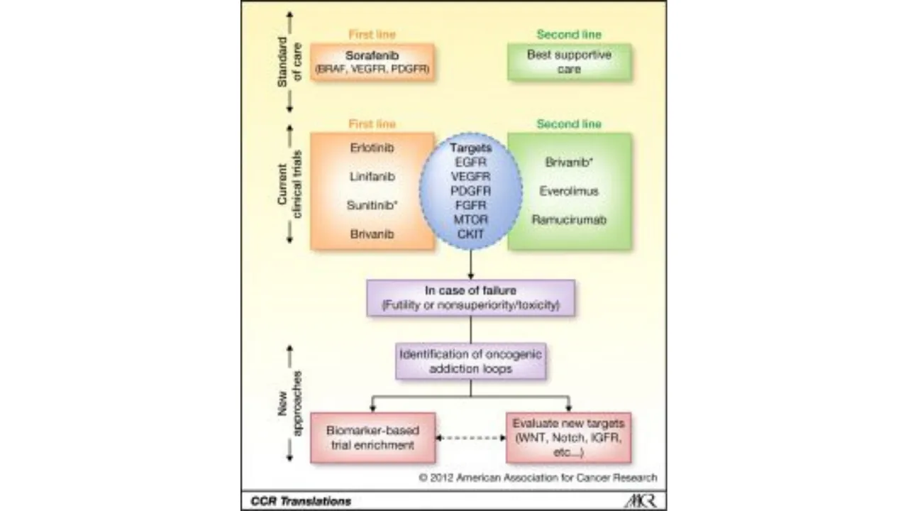 Sorafenib - Tratamiento del Cáncer primario de Hígado