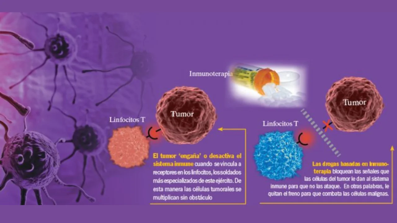 En que consiste el tratamiento de inmunoterapia para el cancer