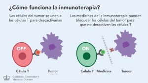 En que consiste el tratamiento de inmunoterapia para el cancer