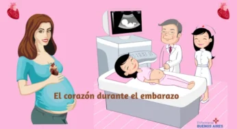El corazón durante el embarazo