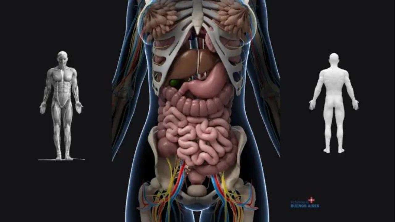 Tipos de cáncer