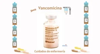 Vancomicina – Cuidados de enfermería