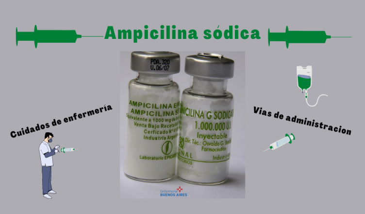 ampicilina sódica