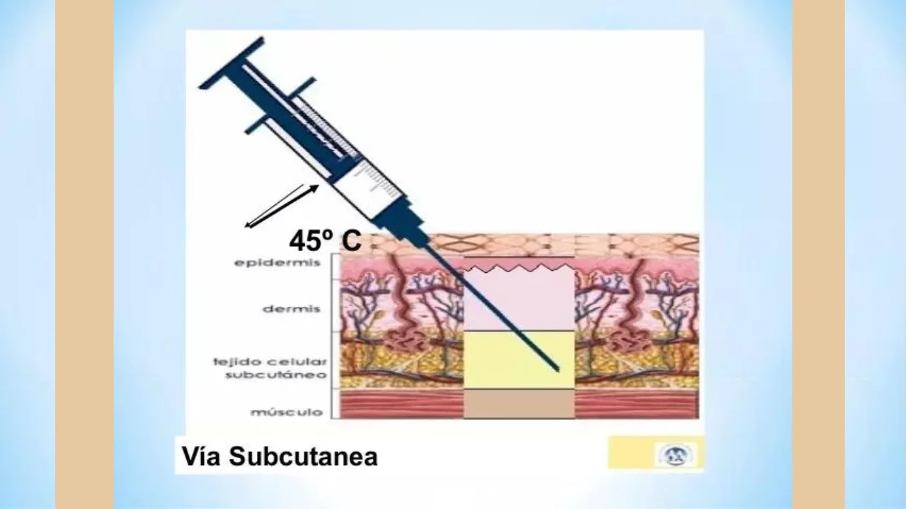 Vía subcutánea