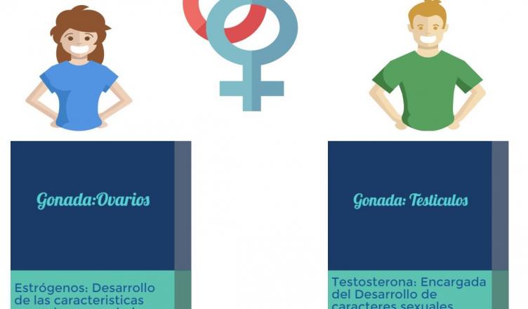 steroizi de erecție simptomele hiv pe penis