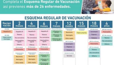 Vacunas en Argentina 2