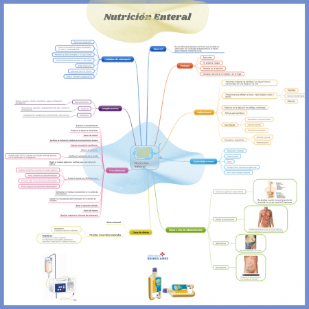¿Qué es la Nutrición Enteral?