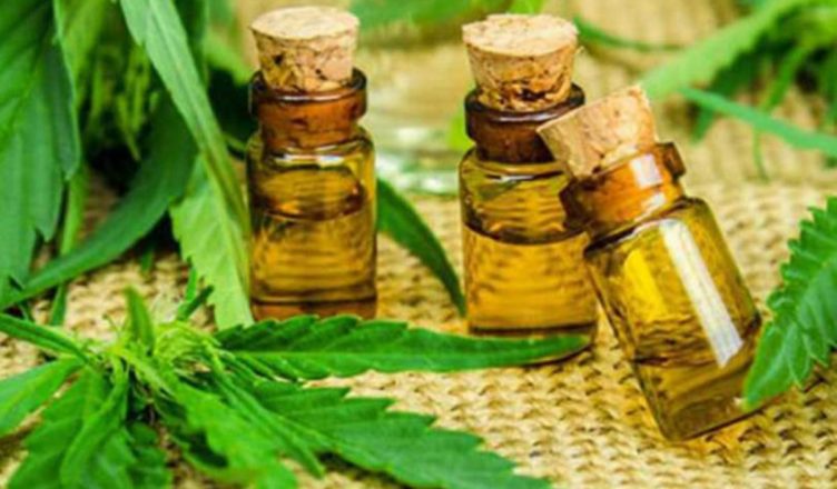 El uso de Cannabis ¿Realmente quita los dolores?