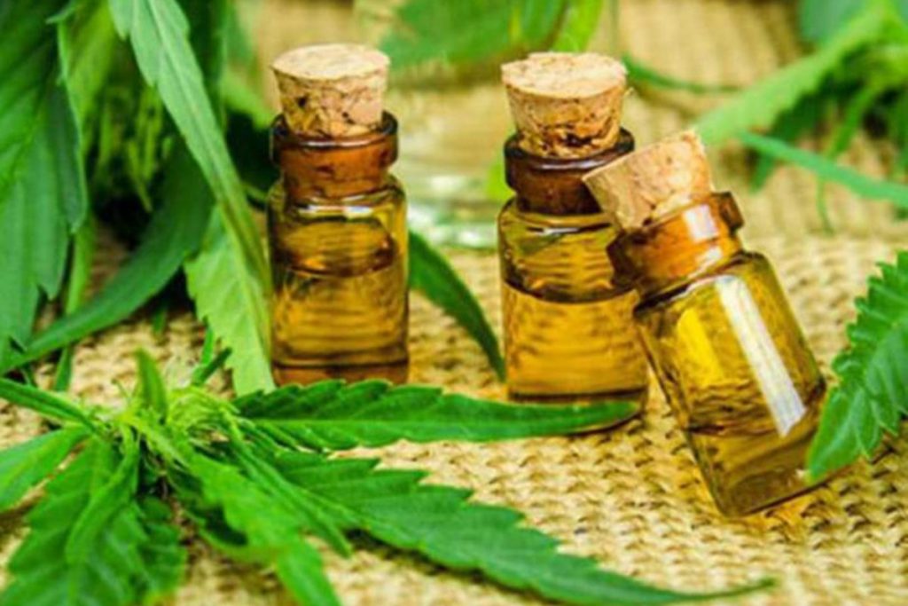 El uso de Cannabis ¿Realmente quita los dolores?
