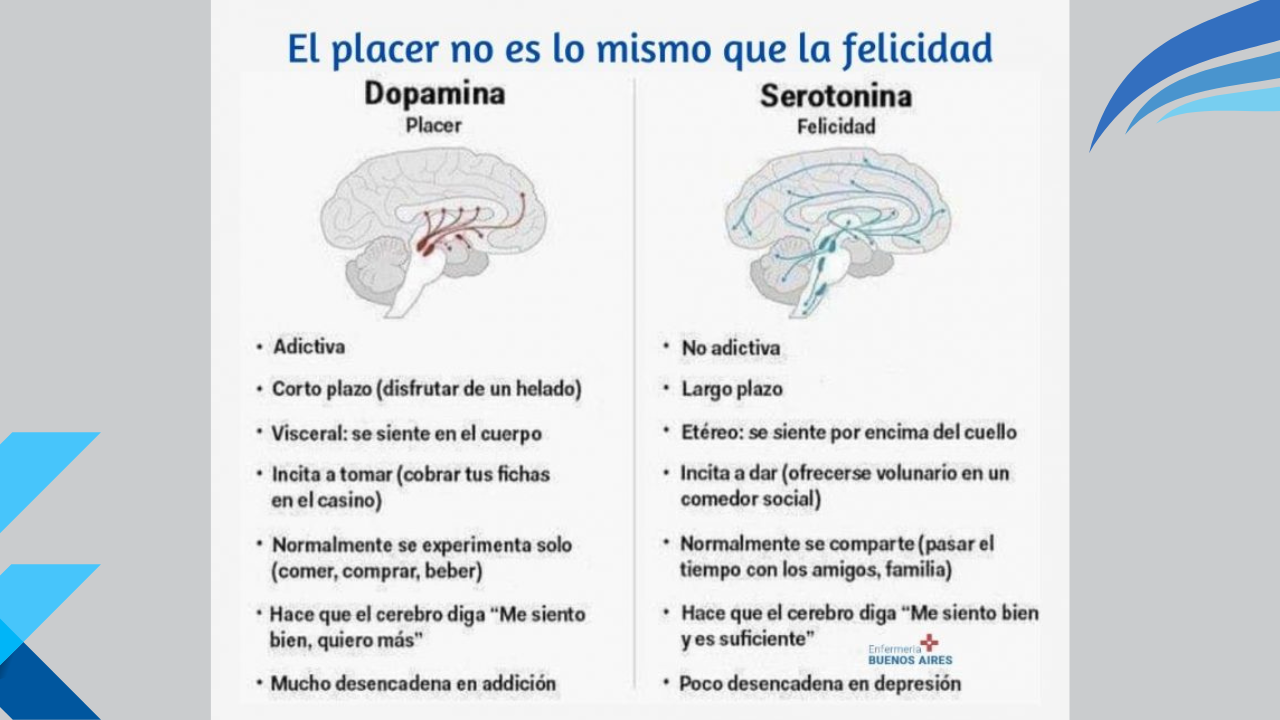 Resumen clarísimo de los neurotransmisores