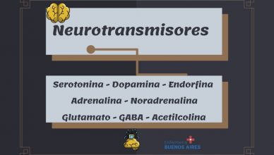 neurotransmisores 1