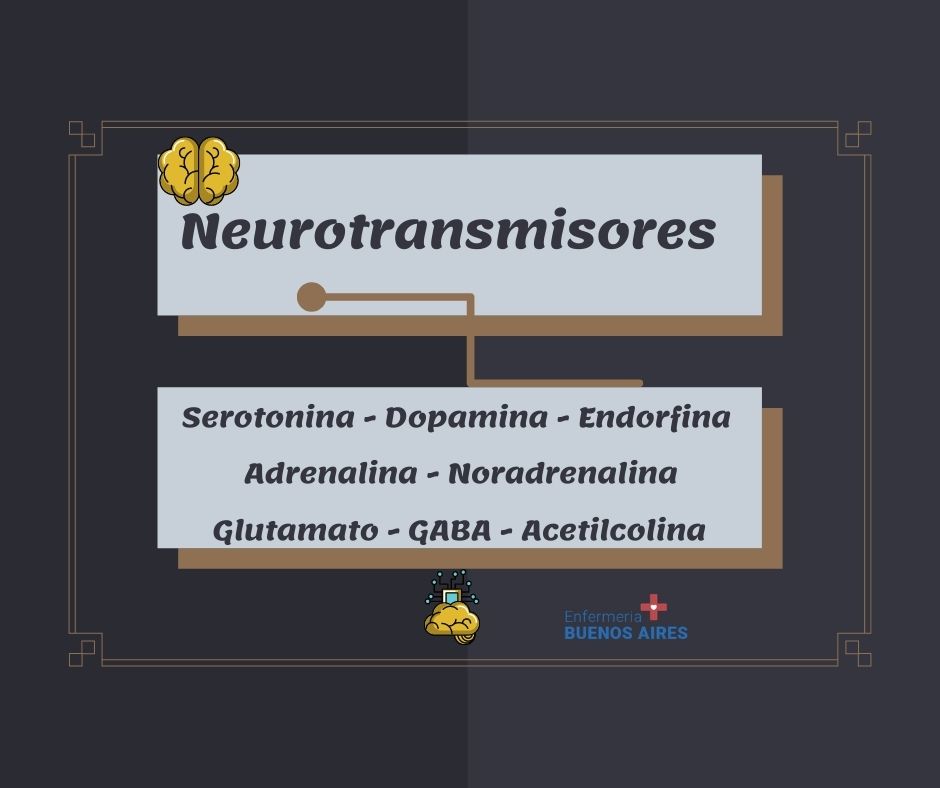 Resumen clarísimo de los neurotransmisores