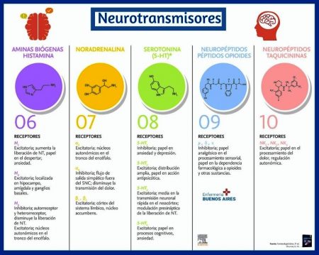 neurotransmisores 3
