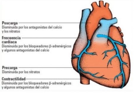 Fármacos cardiovasculares y atención de enfermería