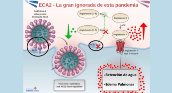Dr. José Luis Santos y su hallazgo en la proteína (ECA 2) para tratar el Covid-19