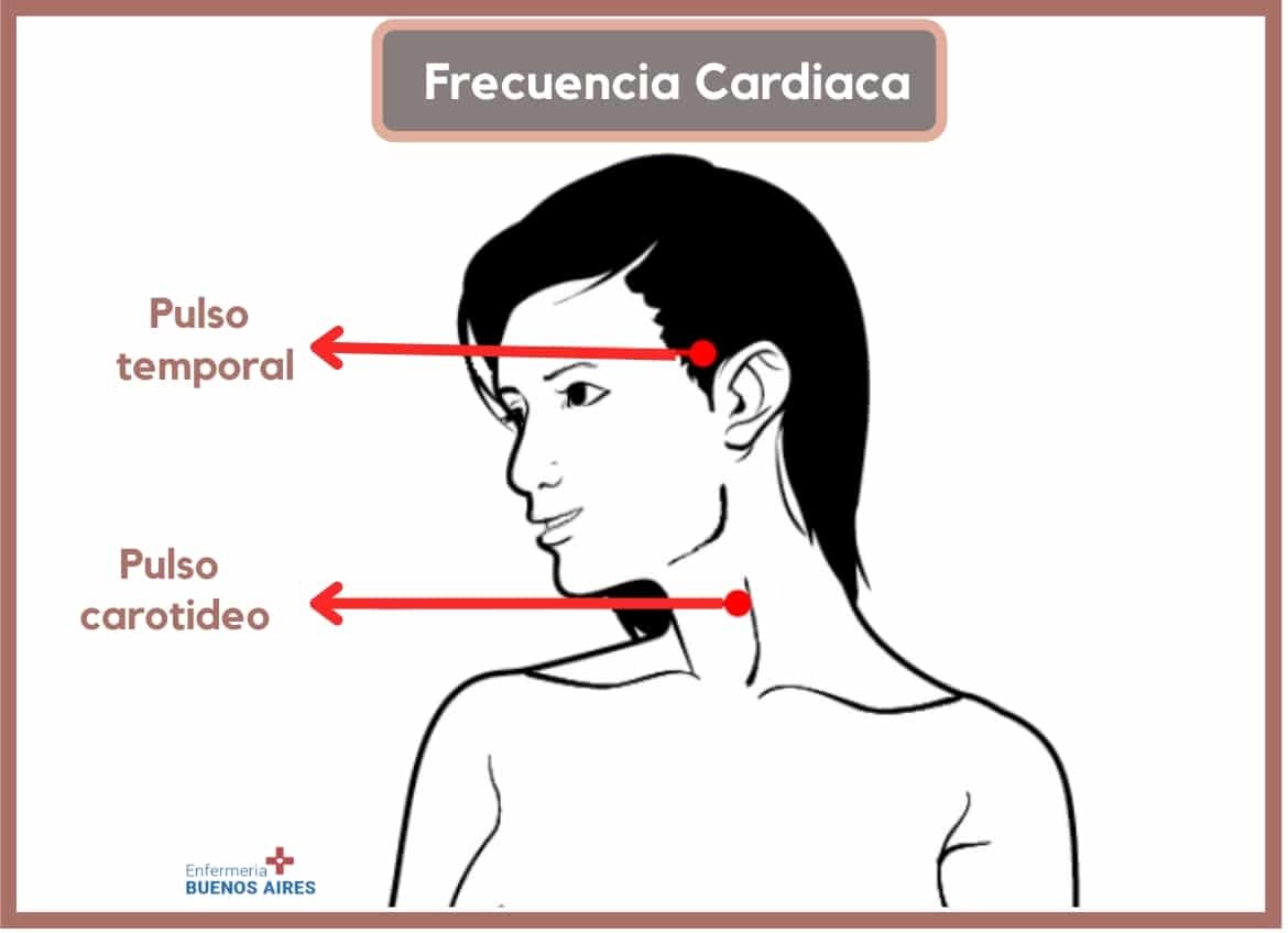 ¿cómo Controlar Y Mejorar La Frecuencia Cardíaca 2024emk 9134