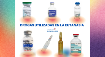 Drogas utilizadas en la eutanasia