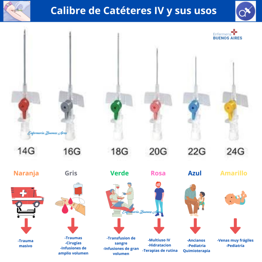 Tipos De Cat Teres