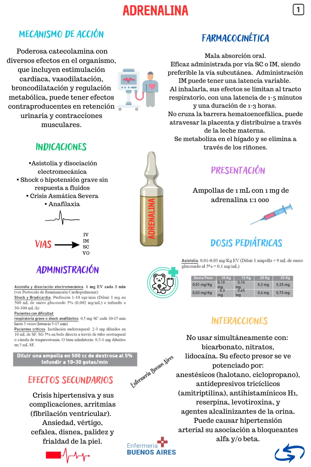 Adrenalina - Resumen de Farmacología