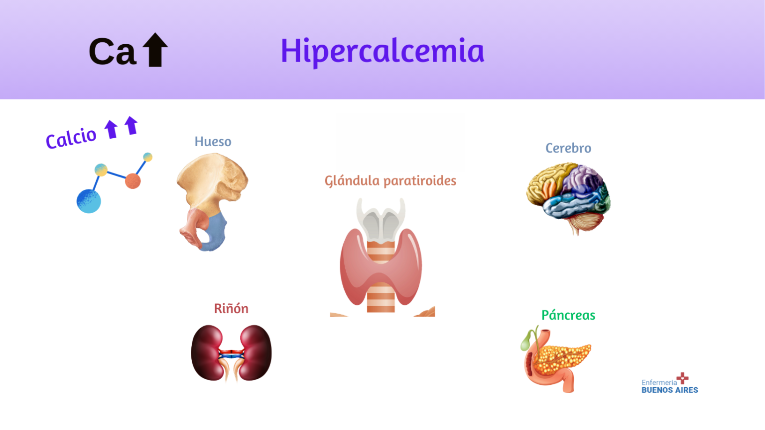 Guía Completa Sobre La Hipercalcemia Causas Síntomas Y Tratamiento 2024 5701