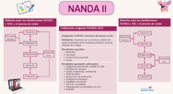 NANDA II