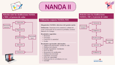 NANDA II