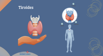 La influencia de la Tiroides en tu metabolismo