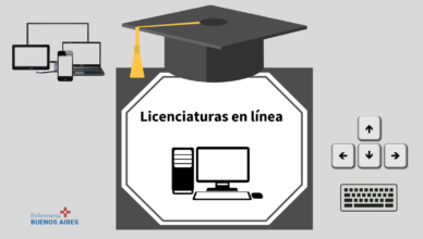 Licenciaturas en línea