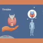 Tiroides: La influencia de la Tiroides en tu metabolismo