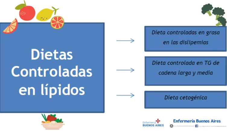 Dietas controladas en lípidos