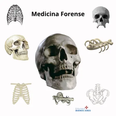 Medicina Forense