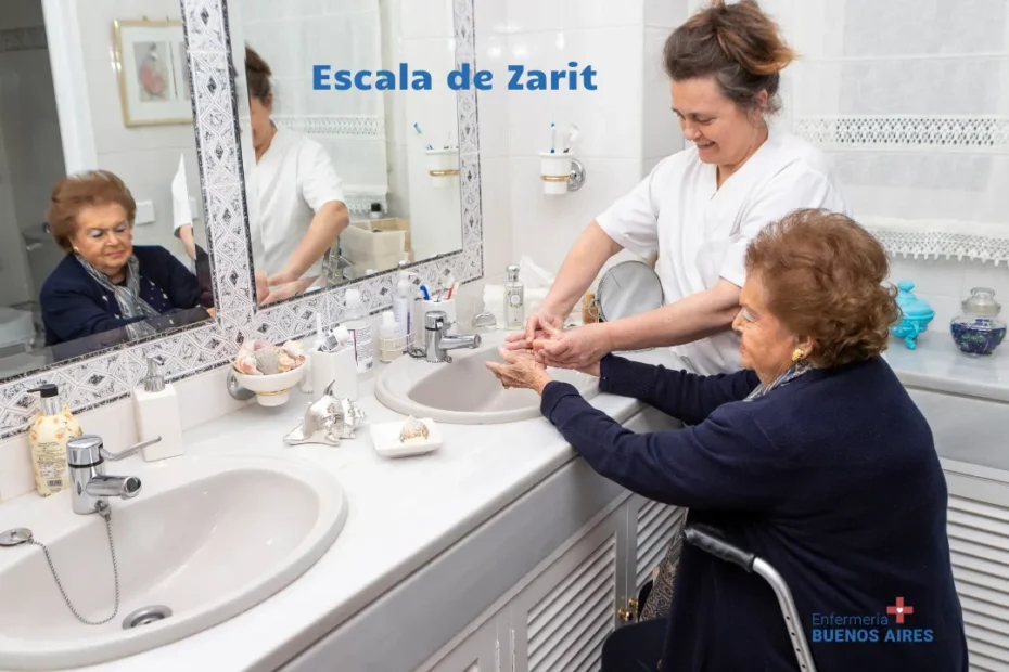 Escala de Zarit