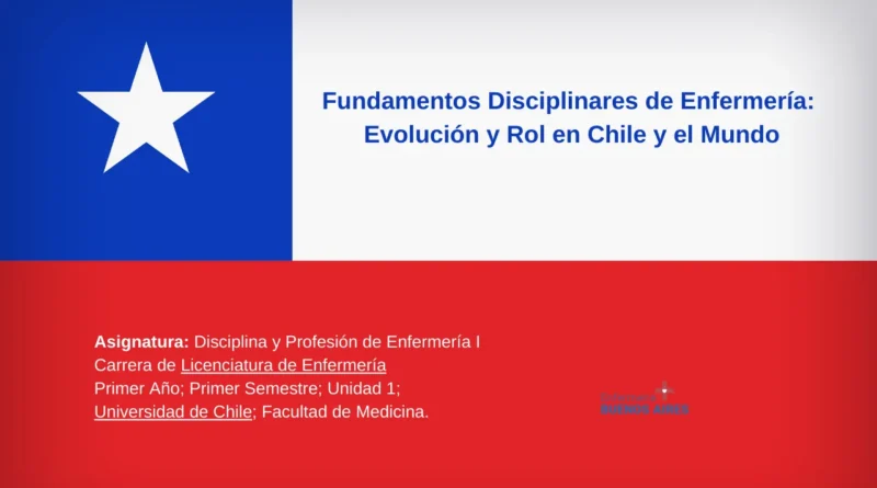 Fundamentos Disciplinares de Enfermería